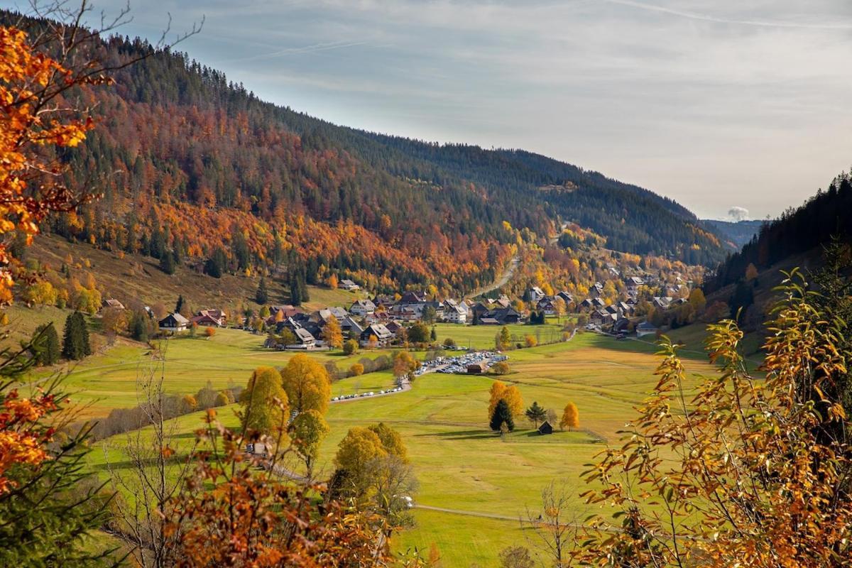 Galeriewohnung In Menzenschwand-Hinterdorf Kültér fotó