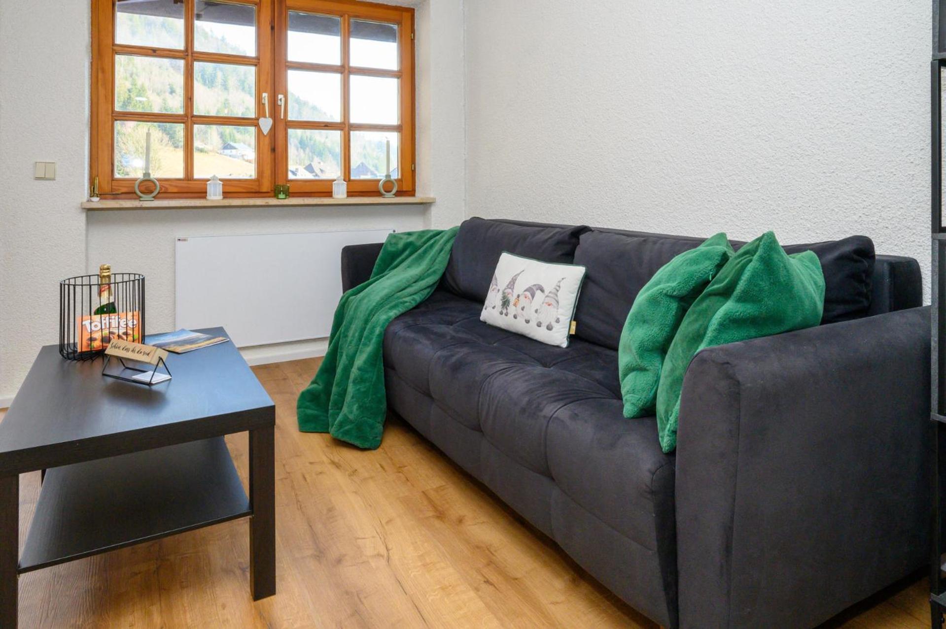 Galeriewohnung In Menzenschwand-Hinterdorf Kültér fotó